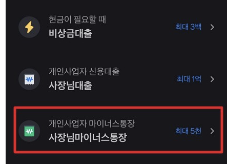 토스뱅크 사장님 마이너스통장