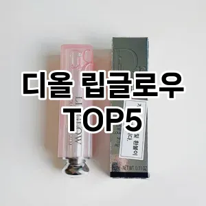 디올 립글로우 추천 TOP 5 가성비 인기순위